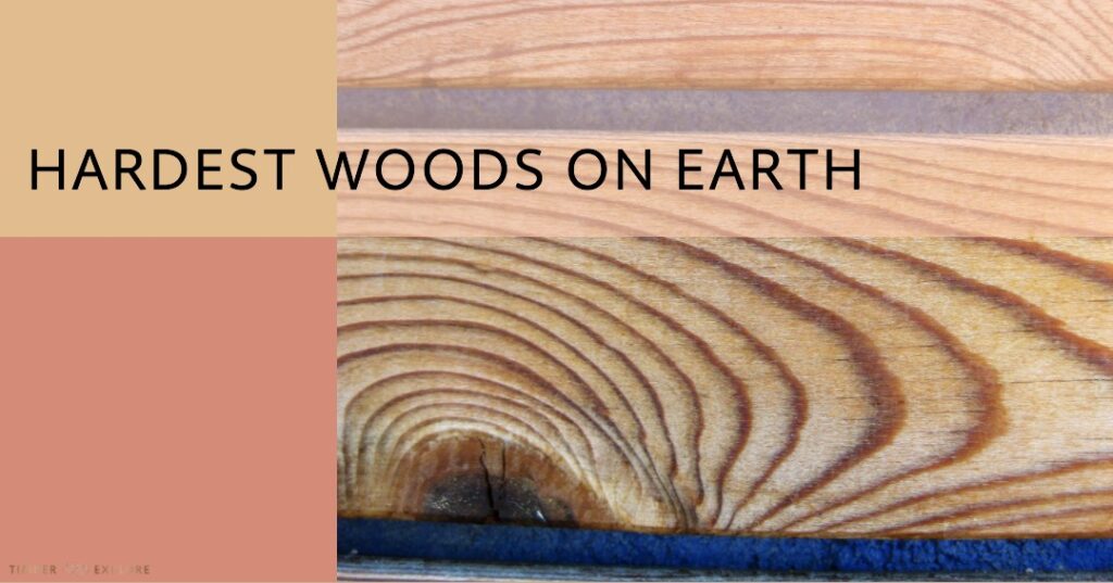 top-10-hardest-woods-in-the-world-a-durability-guide