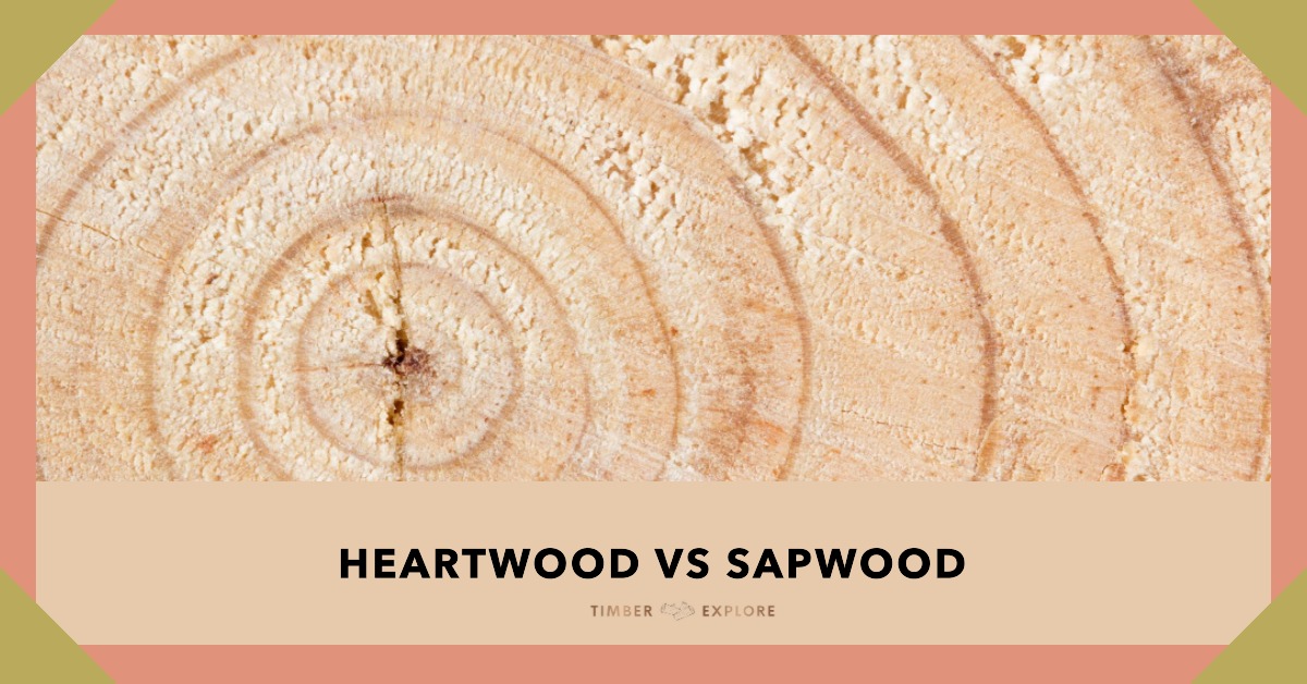 heartwood vs sapwood