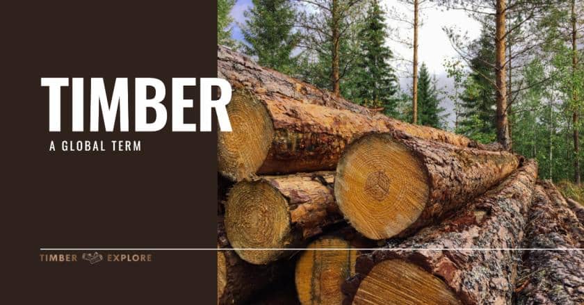 Timber, a global term