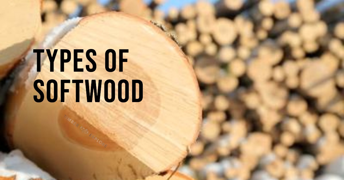 Different Types of Softwood Explained