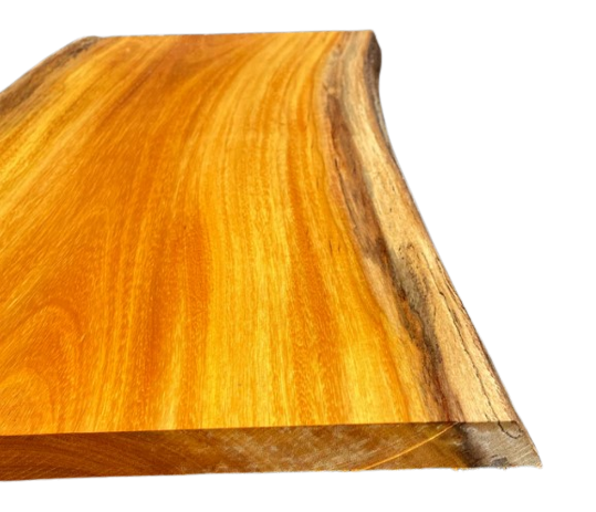 Osage Orange one of the hardest wood in the world