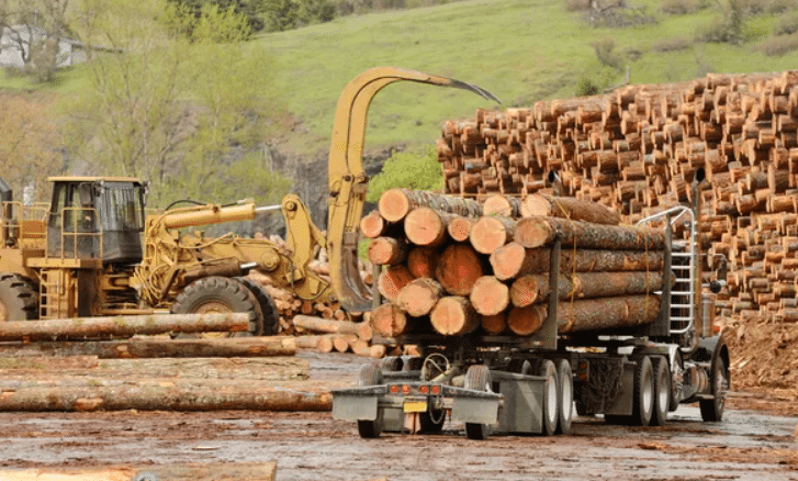 wood log selection process