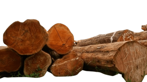Indonesian Teak Wood