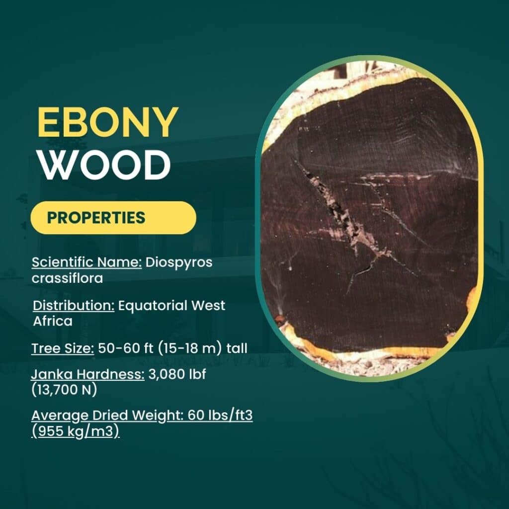 Ebony Wood Properties