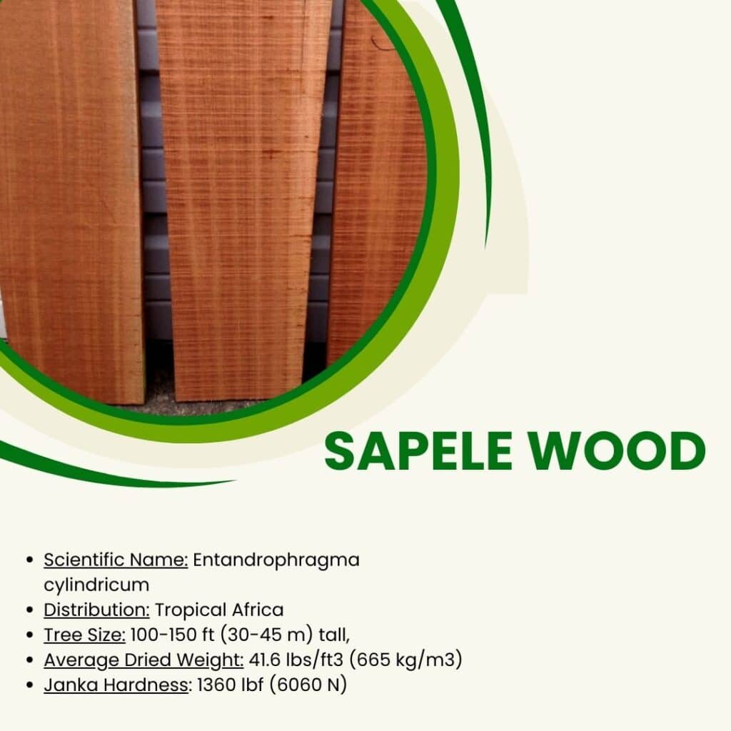 an info-graph specifying properties of Sapele wood