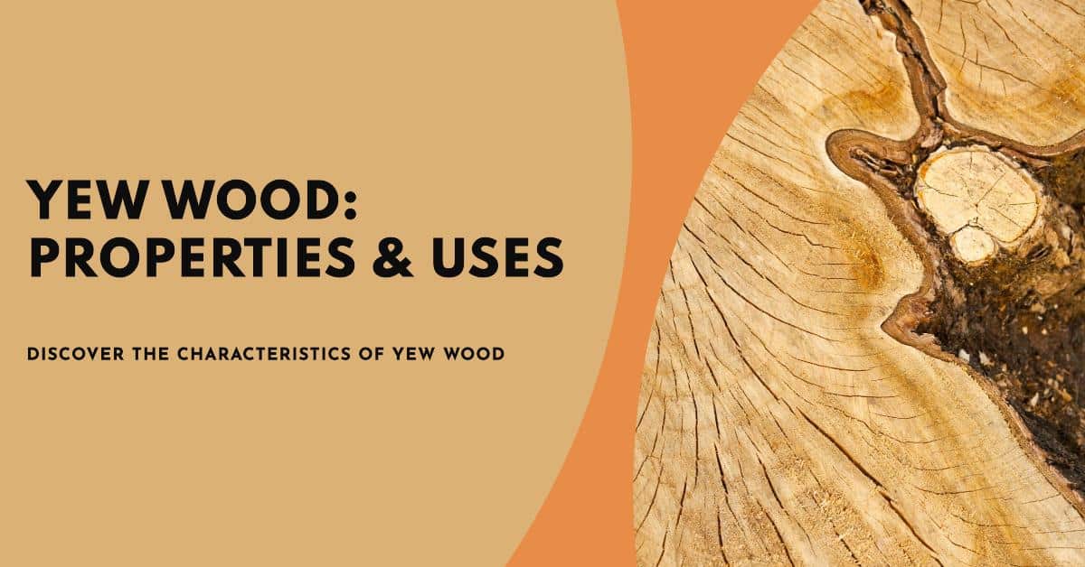 Yew Wood