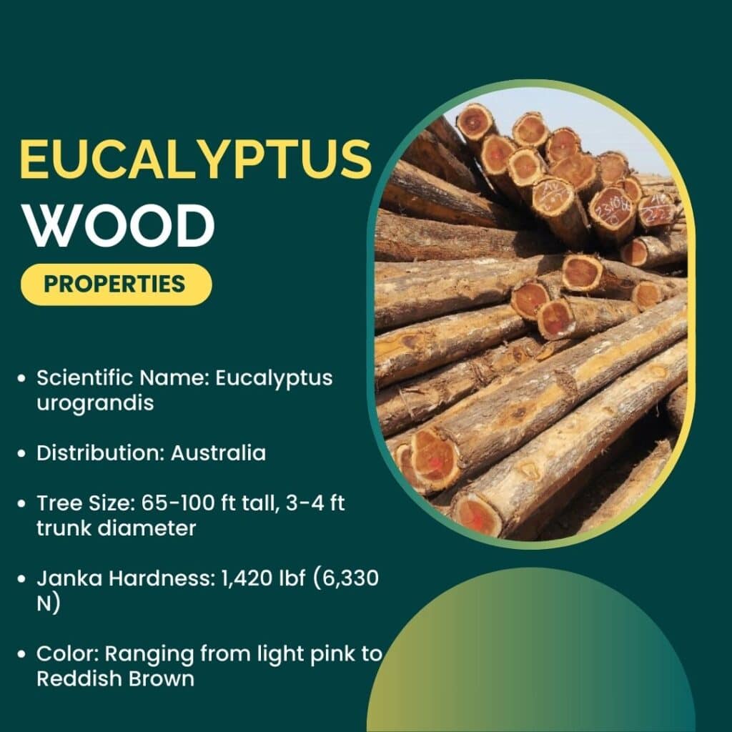 Euclayptus wood properties